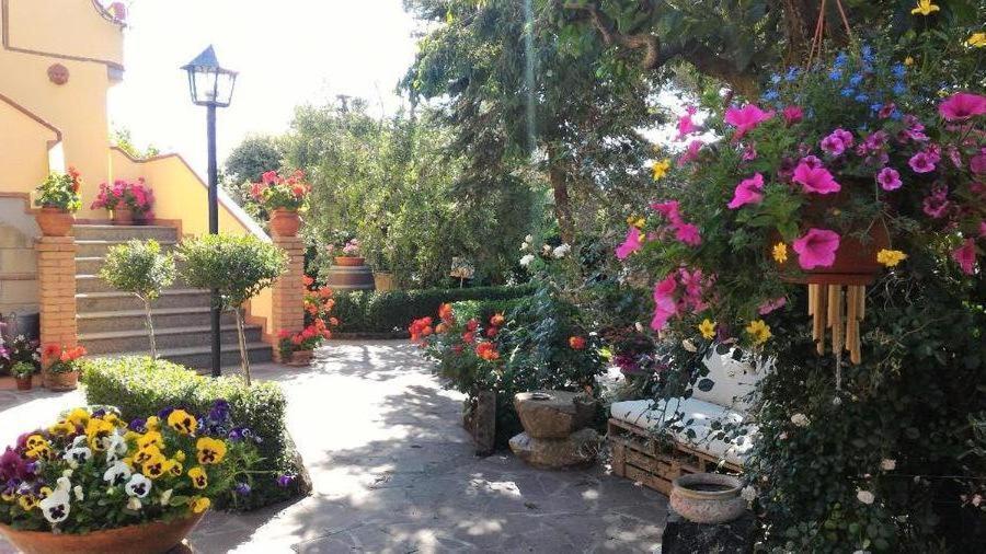 Bed And Breakfast Val Di Lupa Castellina Marittima Eksteriør bilde