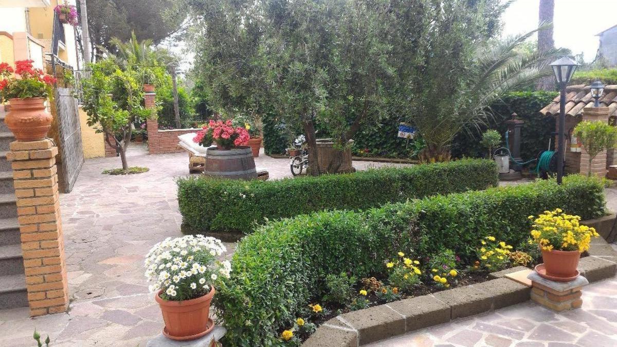 Bed And Breakfast Val Di Lupa Castellina Marittima Eksteriør bilde